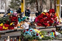 Миниатюра 6