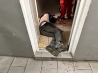 Миниатюра 6