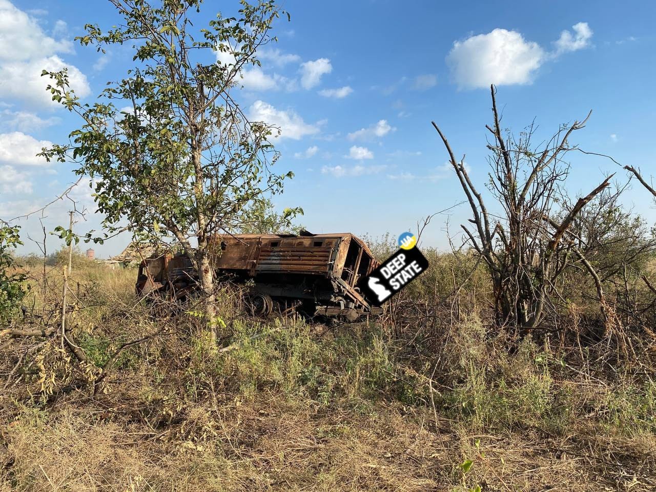 Изображение из галереи