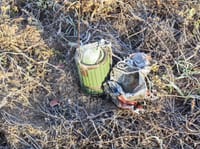 Миниатюра 2