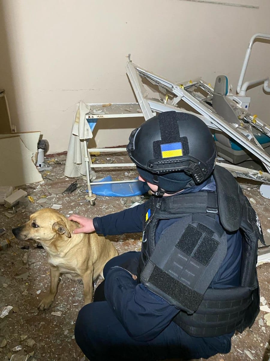 Изображение из галереи