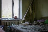 Миниатюра 3