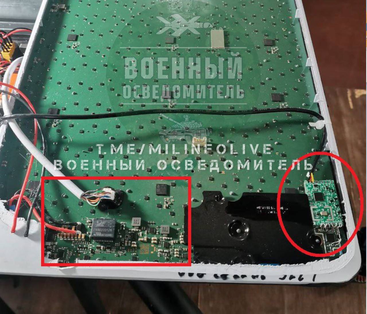 Изображение из галереи