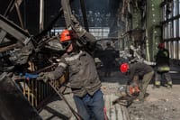 Миниатюра 6