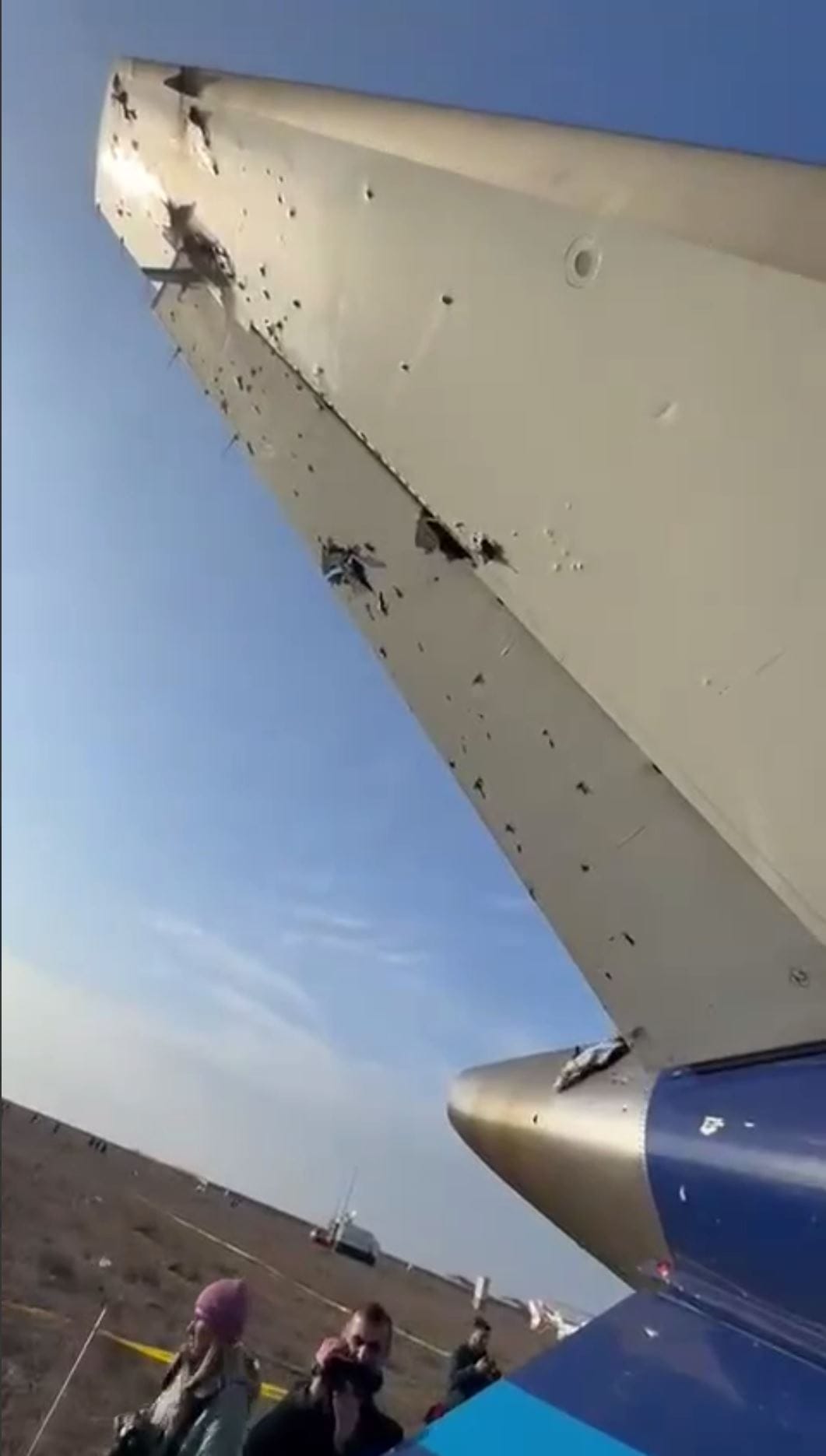 Изображение из галереи