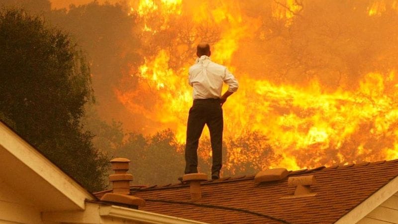 Ремесло заложника. Филолог Сергей Зенкин о том, как жить перед лицом катастрофы