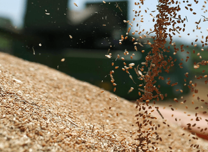 Эрдоган подтвердил продление «зерновой сделки» 