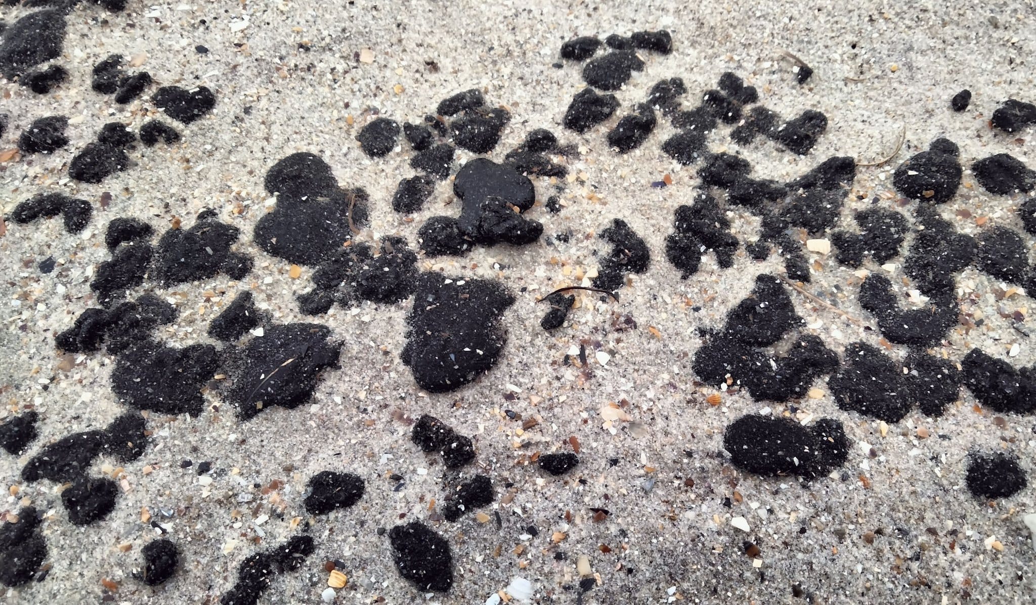 Мазут из потерпевших крушение в Черном море российских танкеров достиг побережья Одесской области 