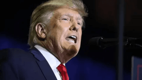 Трамп на месяц приостановил 25-процентные пошлины на импорт из Мексики после разговора с президентом страны 