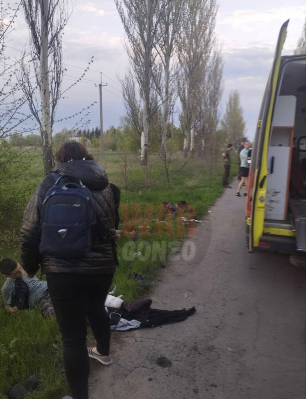 Изображение из галереи