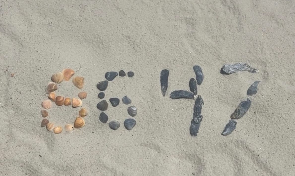 Экс-директор ФБР выложил фото с ракушками в форме цифр 8647. Это посчитали призывом к убийству Трампа