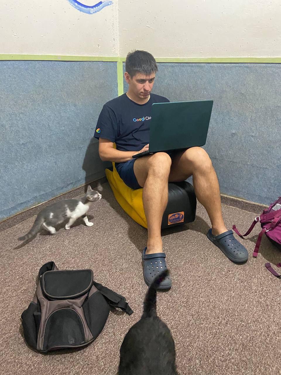 Иллюстрация к материалу