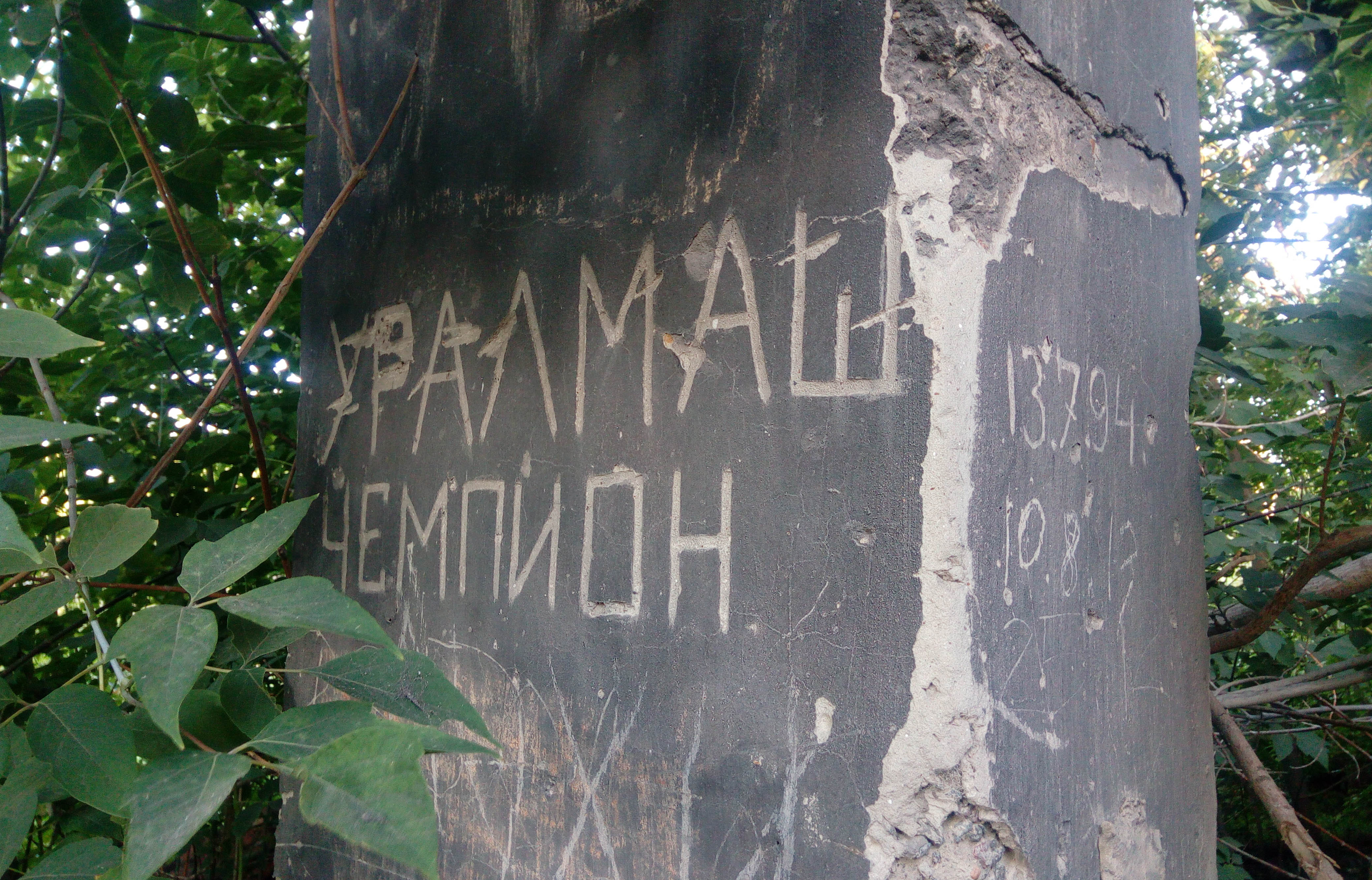 Иллюстрация к материалу