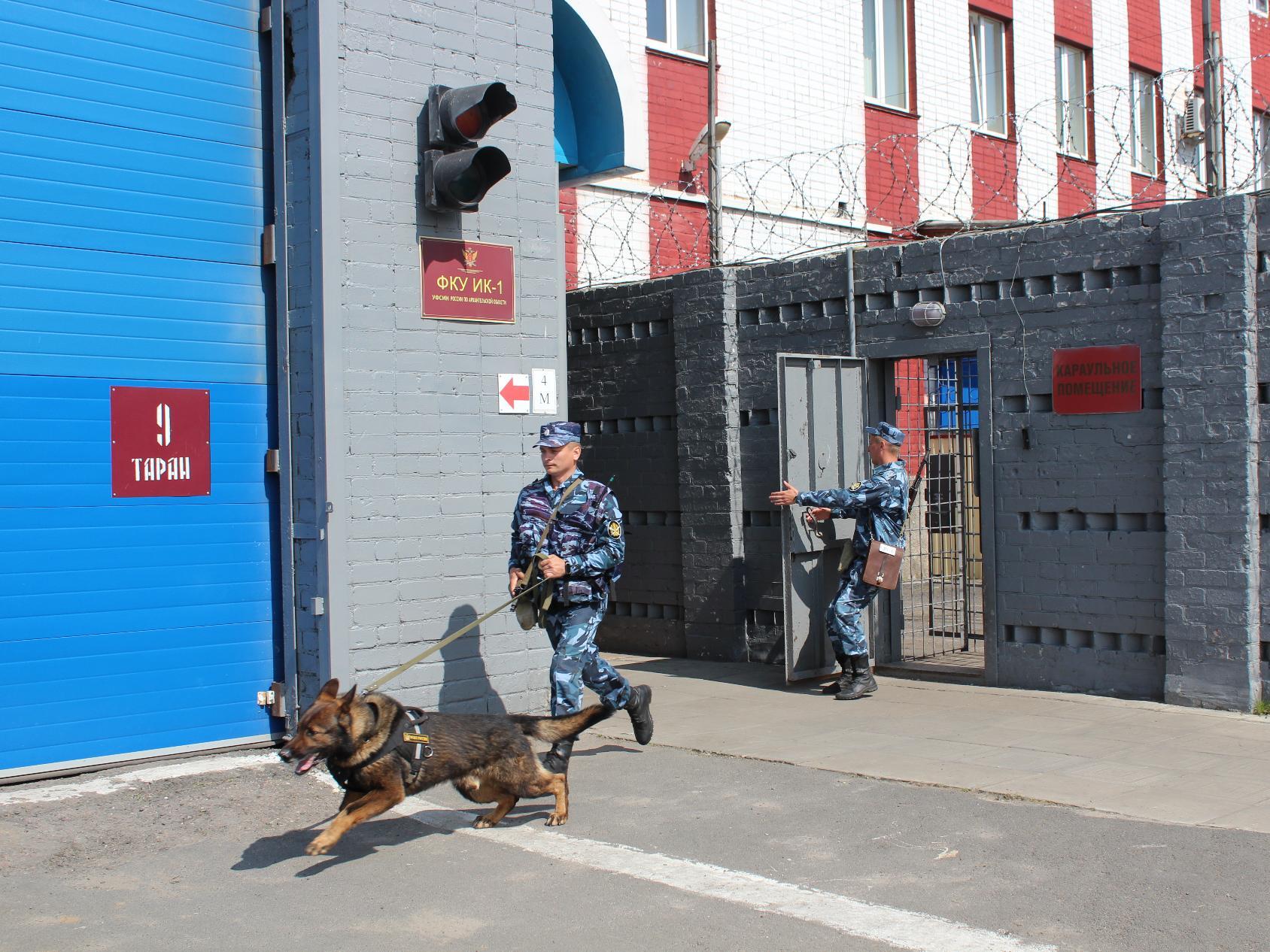 Иллюстрация к материалу