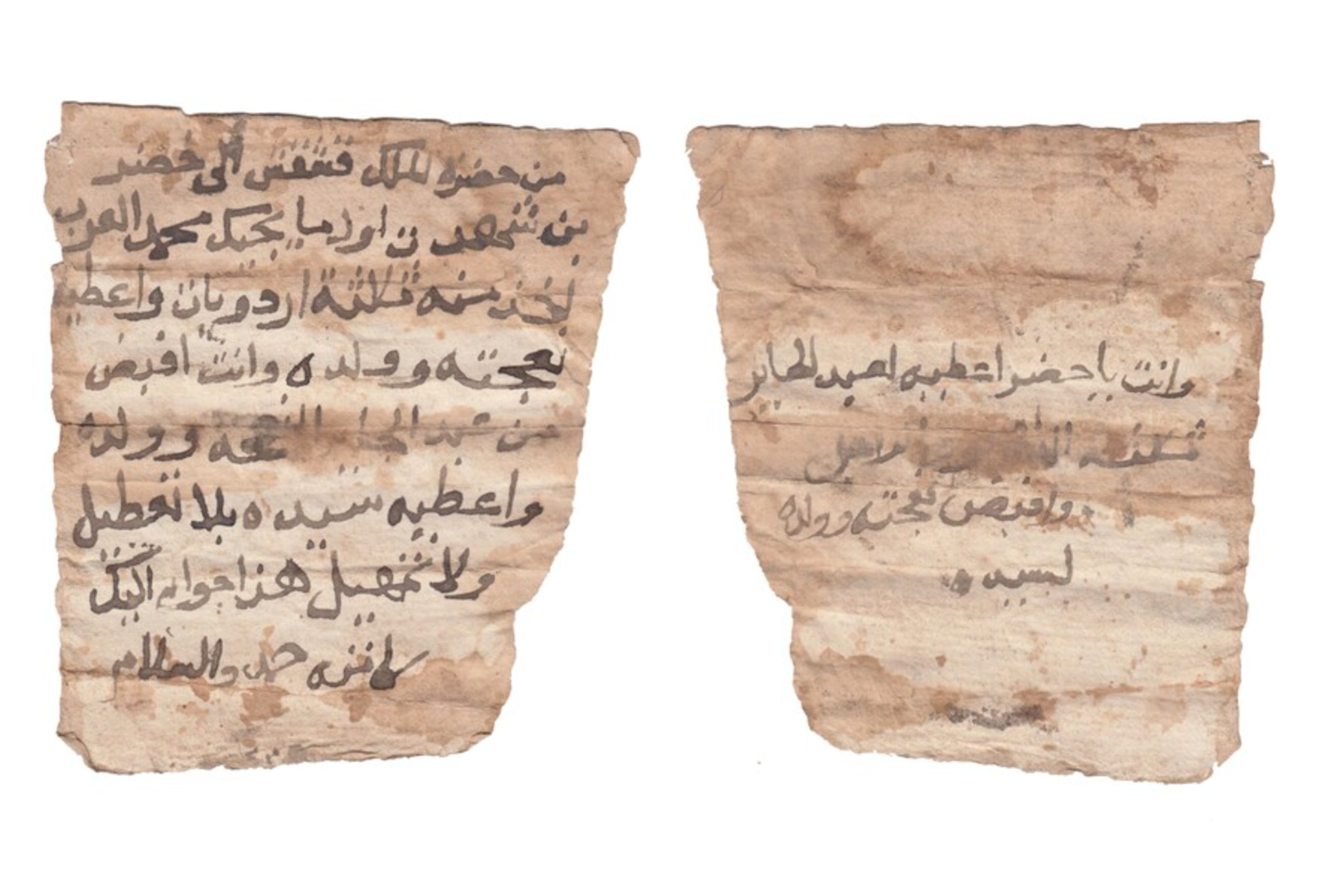 Указ короля Кашкаша из Старой Донголы. Источник: M. Rekłajtis / PCMA.